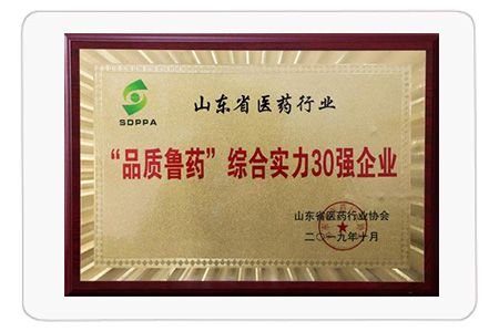 “品质鲁药”综合实力30强企业