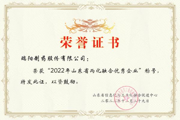 20-年山东省两化融合优秀企业.jpg