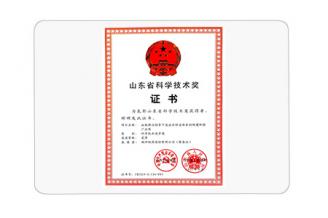 山东省科学技术奖